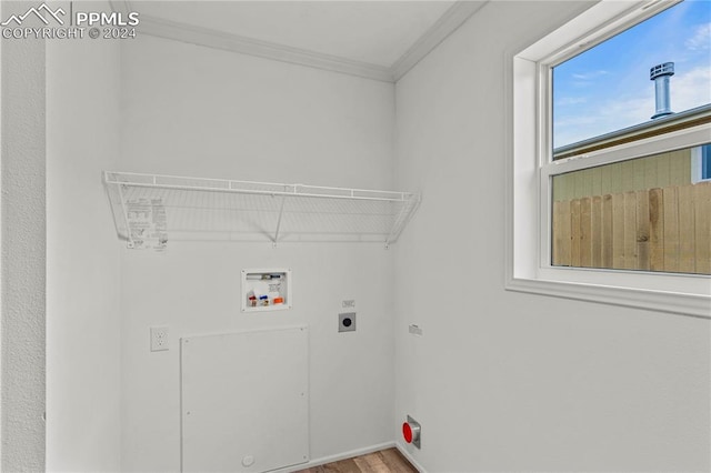 clothes washing area featuring electric dryer hookup, washer hookup, and light hardwood / wood-style floors