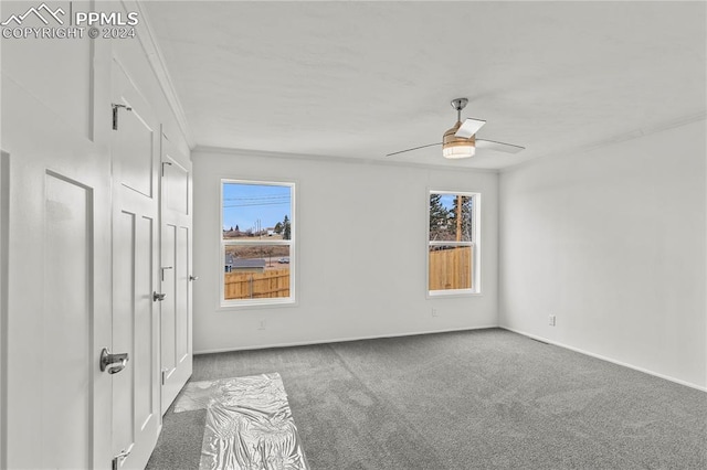 carpeted spare room with ornamental molding, ceiling fan, and a wealth of natural light