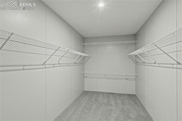 spacious closet with light colored carpet