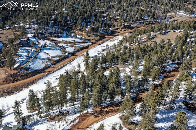 329 Cottonwood Lake Dr, Divide CO, 80814 land for sale