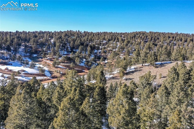 Listing photo 3 for 329 Cottonwood Lake Dr, Divide CO 80814