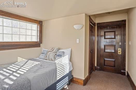 bedroom featuring carpet flooring