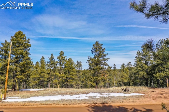 257 Mesa Dr, Florissant CO, 80816 land for sale