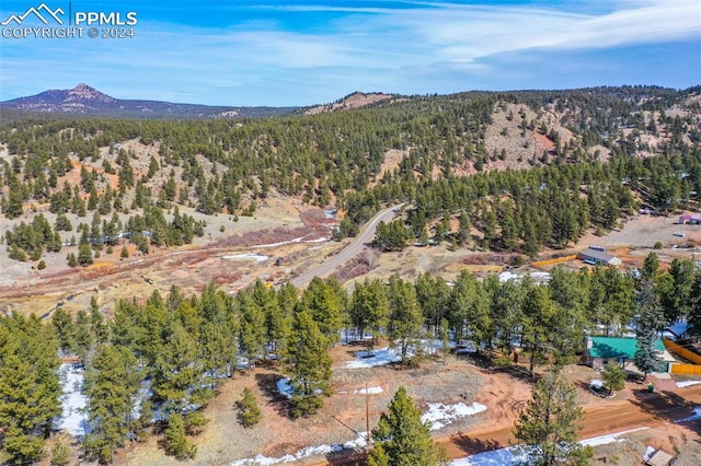 Listing photo 3 for 257 Mesa Dr, Florissant CO 80816