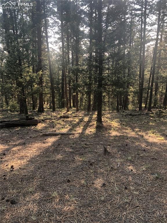 469 Echo Lake Dr, Lake George CO, 80827 land for sale