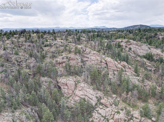 drone / aerial view with a mountain view