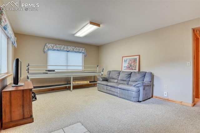 carpeted living room featuring a healthy amount of sunlight