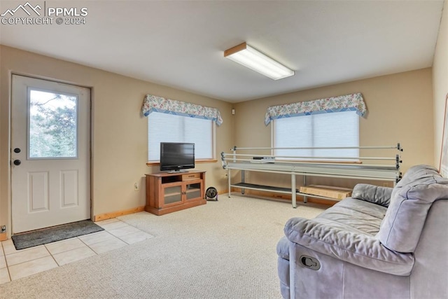 view of carpeted living room