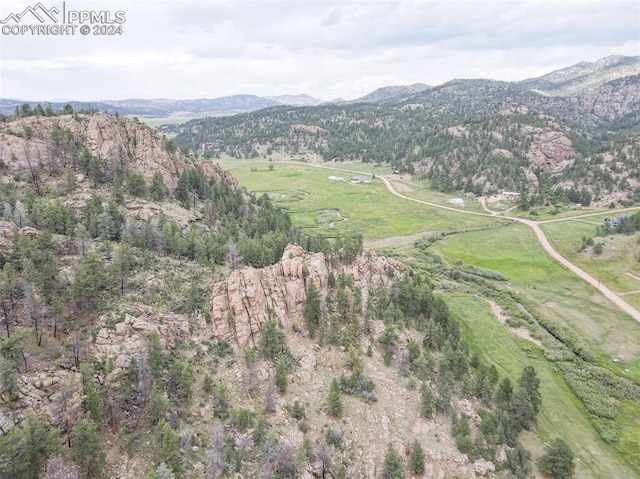 aerial view with a rural view and a mountain view