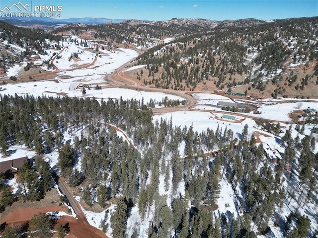 Listing photo 3 for 437 Sunset Ln, Cripple Creek CO 80813