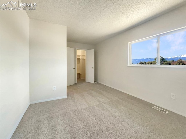 spare room with a textured ceiling and light colored carpet