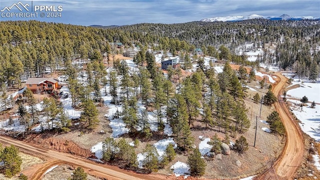 324 Pinewood Rd, Florissant CO, 80816 land for sale