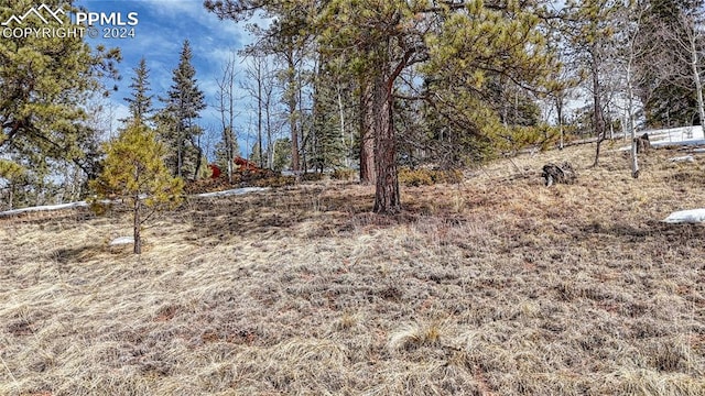 Listing photo 3 for 324 Pinewood Rd, Florissant CO 80816