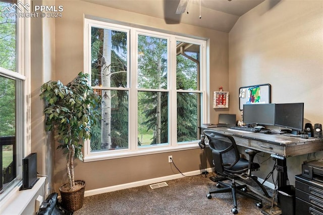 office space featuring ceiling fan, a wealth of natural light, and carpet