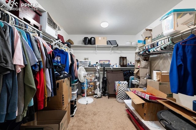 walk in closet with carpet floors