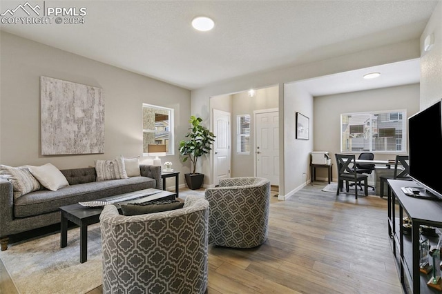 living room with light hardwood / wood-style floors