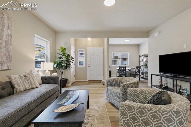 living room featuring light wood-type flooring