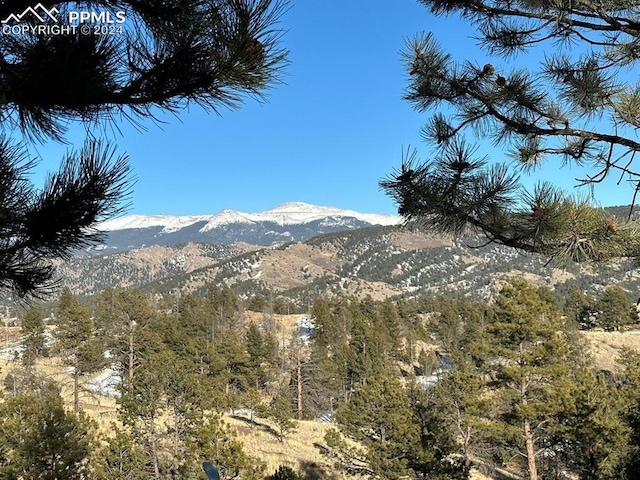 view of mountain feature