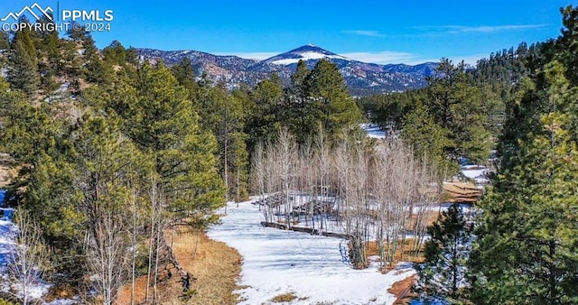 surrounding community featuring a mountain view