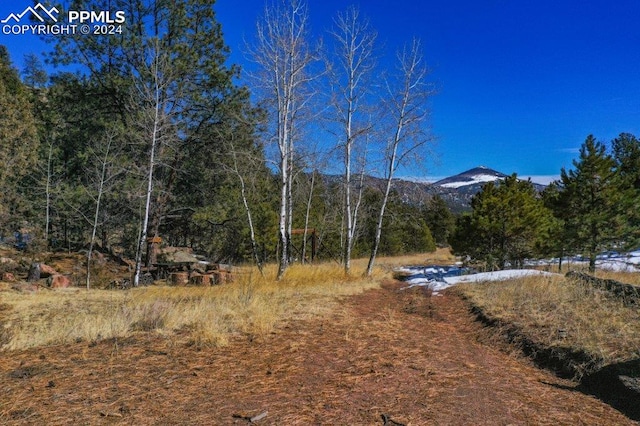 exterior space featuring a mountain view