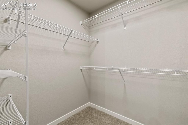 walk in closet with carpet floors