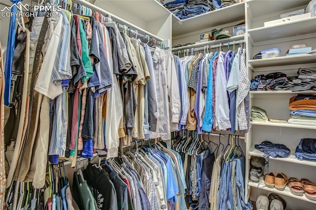 view of spacious closet