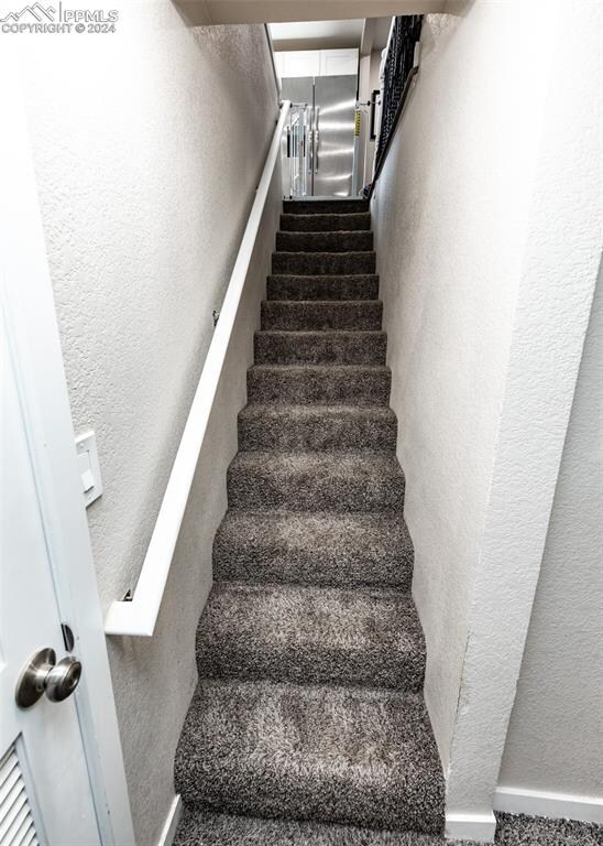 staircase featuring carpet floors