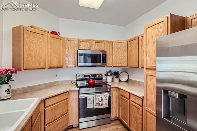 kitchen featuring light hardwood / wood-style flooring, appliances with stainless steel finishes, and sink