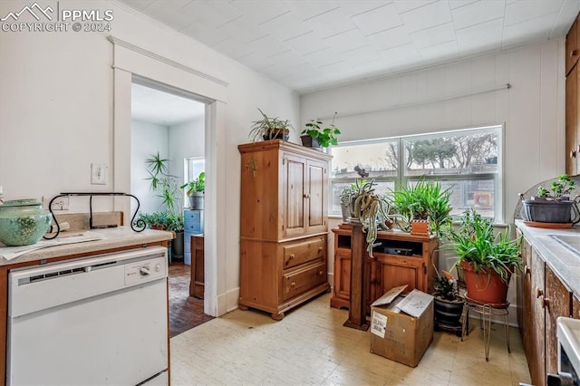 kitchen featuring white dishwasher