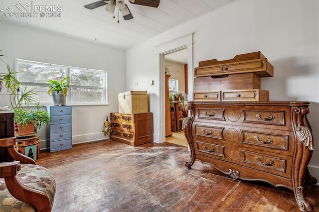 living area featuring ceiling fan and hardwood / wood-style floors