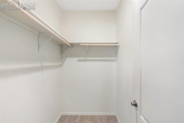 walk in closet with carpet floors