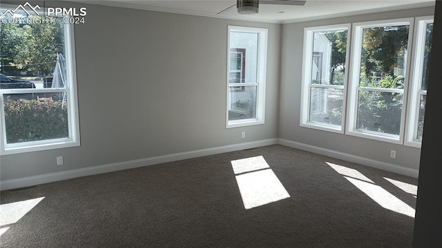 spare room with ceiling fan, crown molding, and dark colored carpet