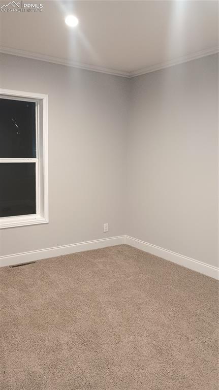 carpeted spare room featuring crown molding