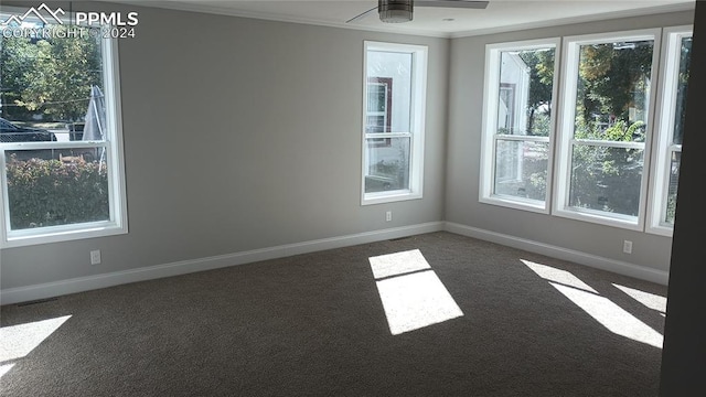 carpeted empty room with ceiling fan and ornamental molding