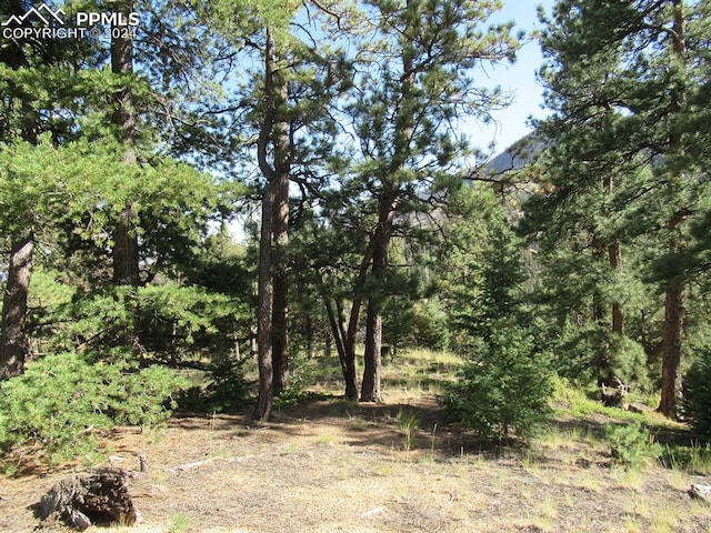 Listing photo 2 for 213 Coffee Pot Rd, Manitou Springs CO 80829