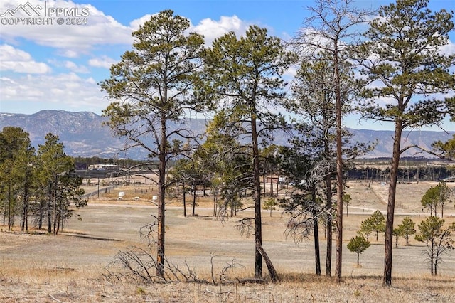 Listing photo 2 for LOT4 Forest Heights Cir, Colorado Springs CO 80908