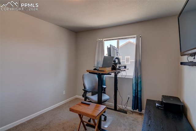 office area with light colored carpet