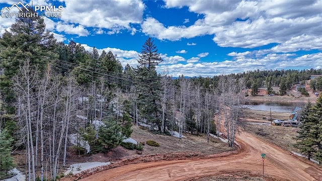 244 Spring Valley Ln, Florissant CO, 80816 land for sale