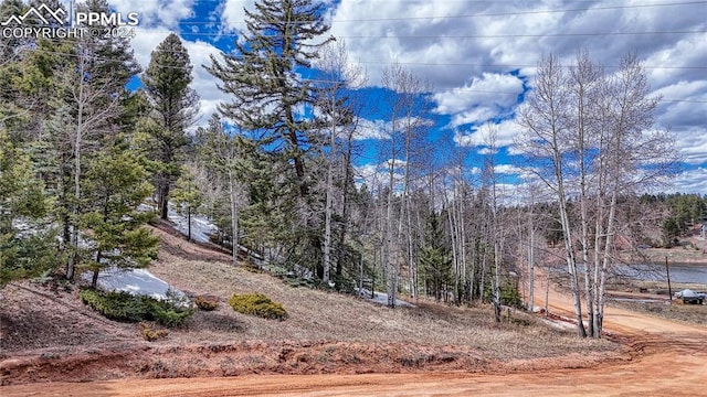 Listing photo 2 for 244 Spring Valley Ln, Florissant CO 80816