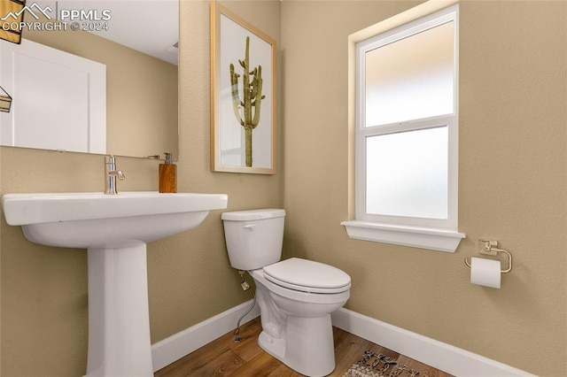 bathroom featuring toilet and hardwood / wood-style flooring