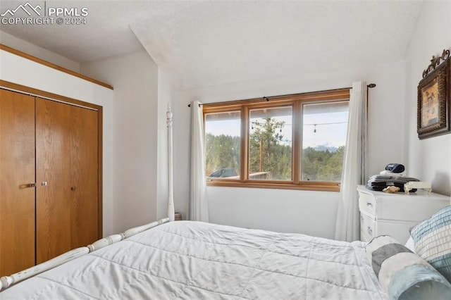 bedroom featuring a closet and lofted ceiling