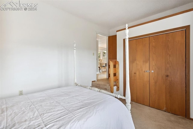 bedroom with light colored carpet and a closet