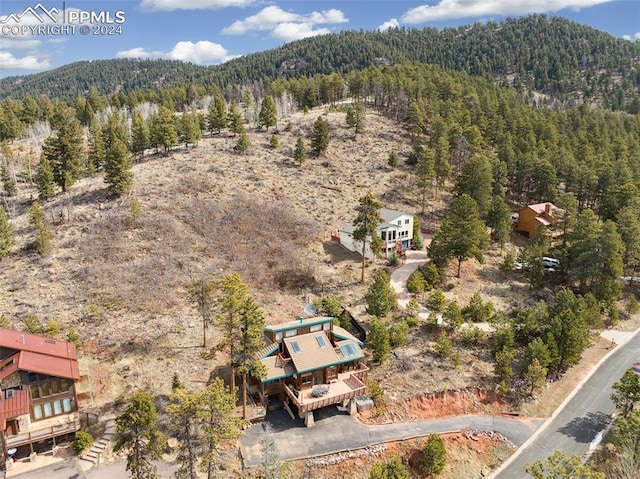 bird's eye view with a mountain view