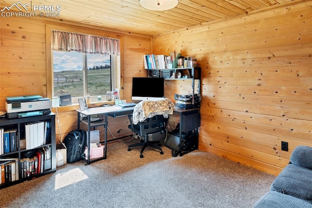 office space with wooden ceiling and carpet floors