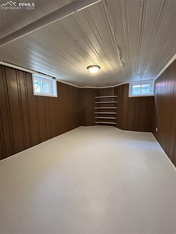 basement featuring a wealth of natural light and wooden walls