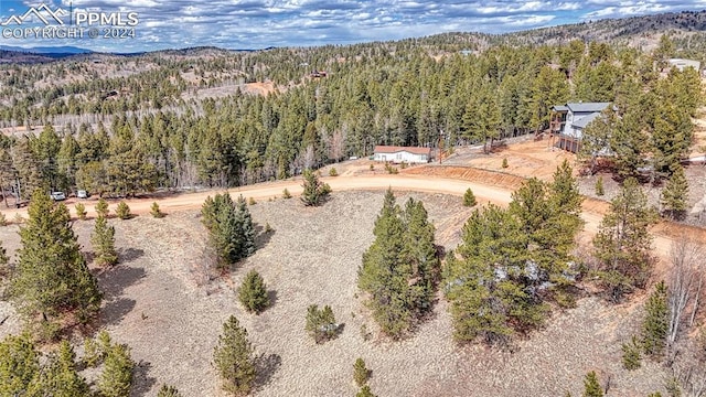 Listing photo 3 for 336 May Queen Dr, Cripple Creek CO 80813