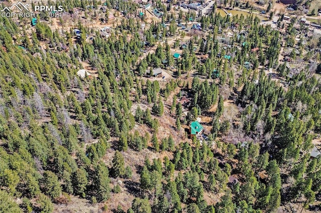 Mountain Ave, Green Mountain Falls CO, 80819 land for sale