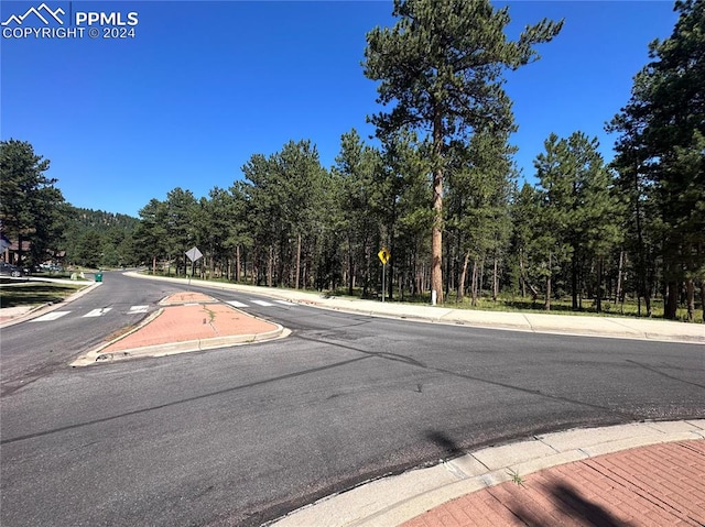 Stone Ridge Dr, Woodland Park CO, 80863 land for sale