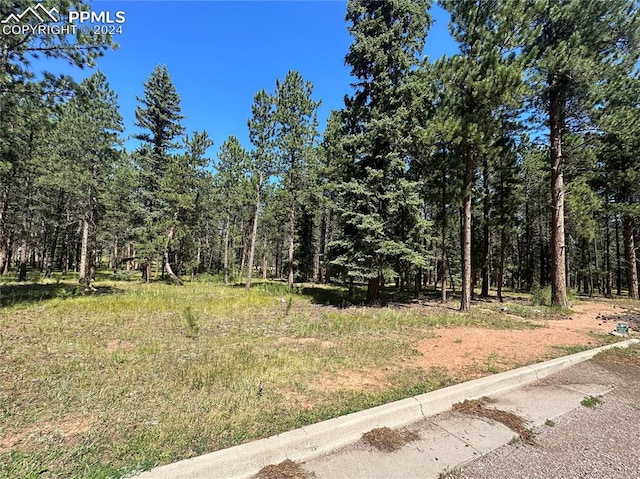 Listing photo 2 for Stone Ridge Dr, Woodland Park CO 80863