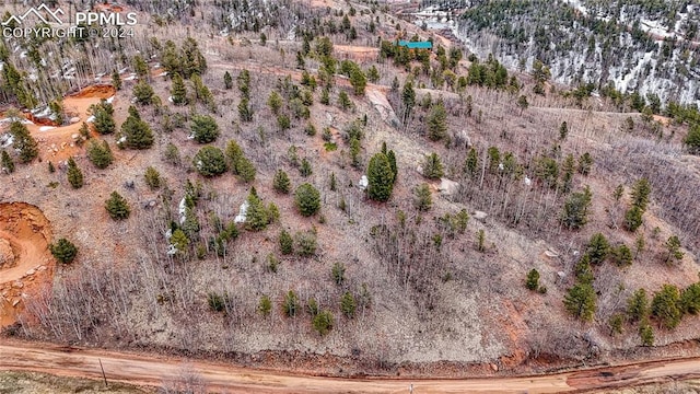 182 Granite Ln, Cripple Creek CO, 80827 land for sale